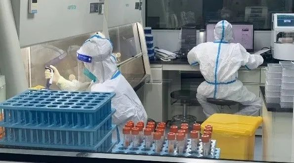 CTI华测检测青岛医学检验实验室获青岛官方表彰
